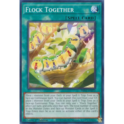 Flock Together - PHNI-EN072