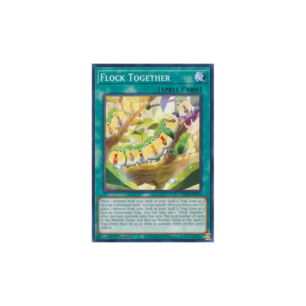 Flock Together - PHNI-EN072