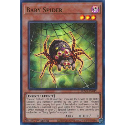 Baby Spider - BLMR-EN045