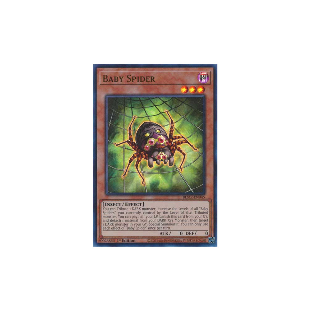 Baby Spider - BLMR-EN045