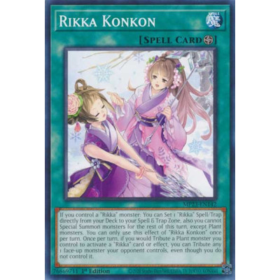 Rikka Konkon - MP23-EN142 - Nova