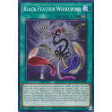 Black Feather Whirlwind - MP23-EN195