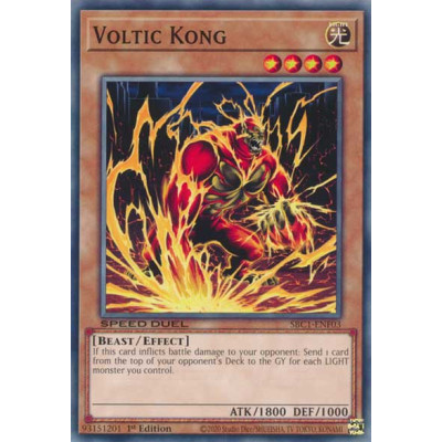 Voltic Kong - SBC1-ENF03