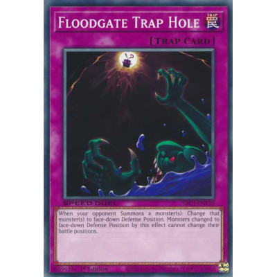 Floodgate Trap Hole - SBC1-ENF20