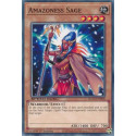 Amazoness Sage - SGX3-END08