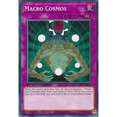 Macro Cosmos - SGX3-ENF19 - Common