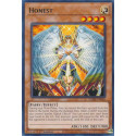Honest - VASM-EN046