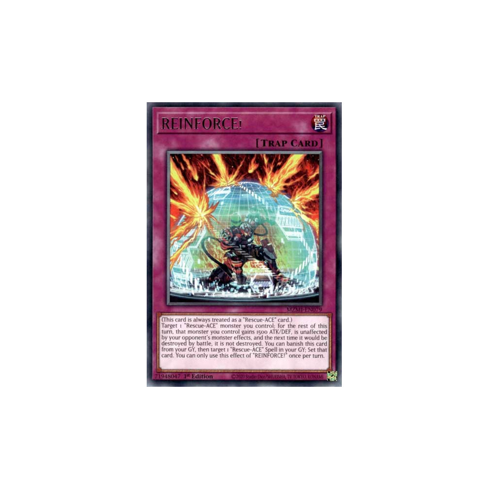 REINFORCE - MZMI-EN079