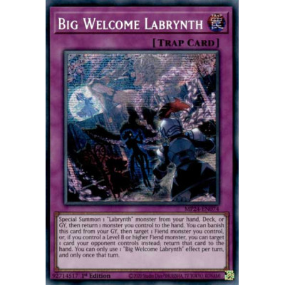 Big Welcome Labrynth - MP24-EN074