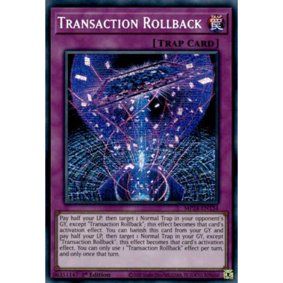 Transaction Rollback - MP24-EN134
