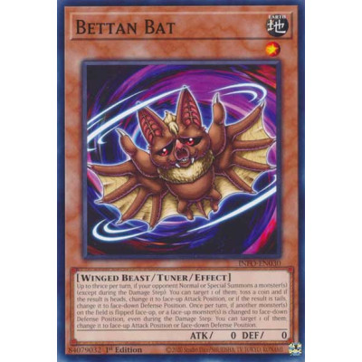 Bettan Bat - INFO-EN030