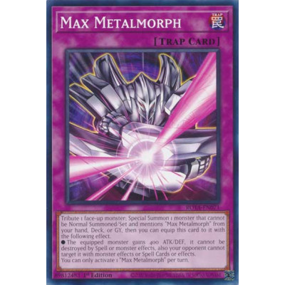 Max Metalmorph - ROTA-EN071