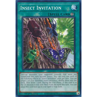 Insect Invitation - ROTA-EN083