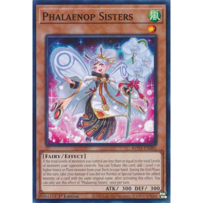 Phalaenop Sisters - ROTA-EN085