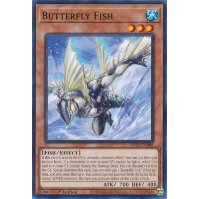 Butterfly Fish - ROTA-EN088
