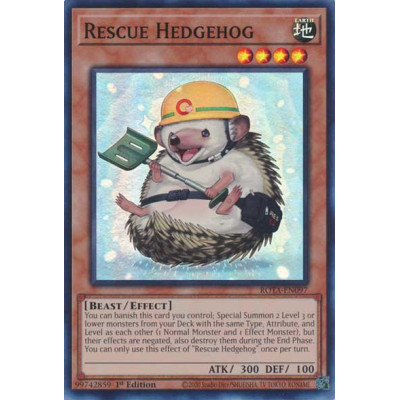 Rescue Hedgehog - ROTA-EN097