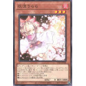Ash Blossom & Joyous Spring - TT01-JPA09