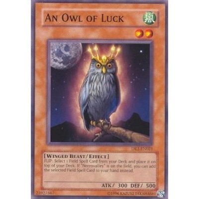 An Owl of Luck - PGD-073 - Nova