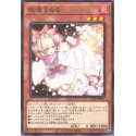 Ash Blossom Joyous Spring - TT01-JPB11