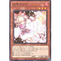 Ash Blossom Joyous Spring - TT01-JPC04