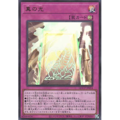 True Light - QCCP-JP014