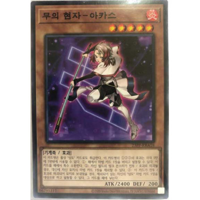 Sage of Strength - Akash - 23PP-KRA18