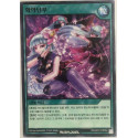 Shadow Flower Dance - RD/HC01-KR062