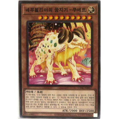Nemleria Dream Defender - Couette - CYAC-KR017