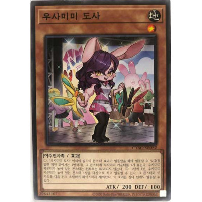 Bunny Ear Enthusiast - CYAC-KR032
