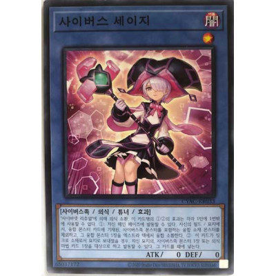 Cyberse Sage - CYAC-KR033