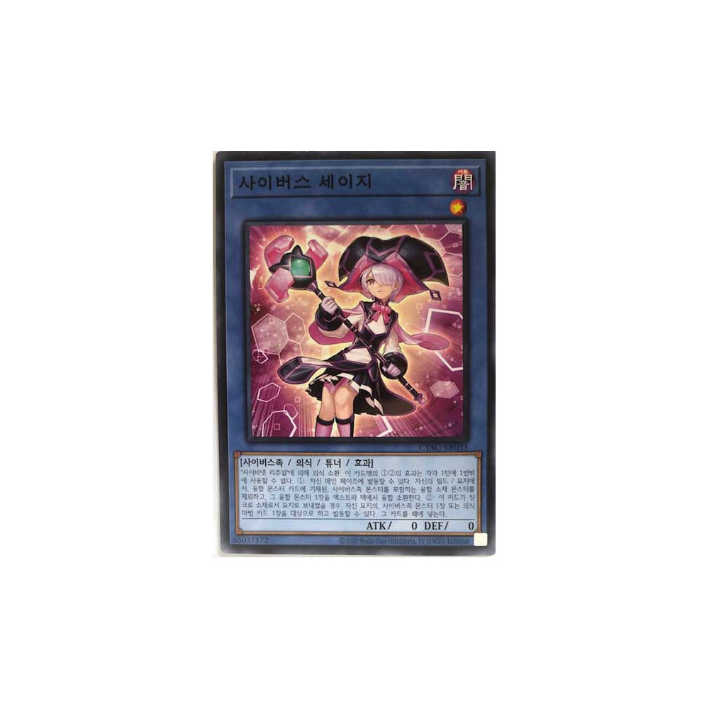 Cyberse Sage - CYAC-KR033