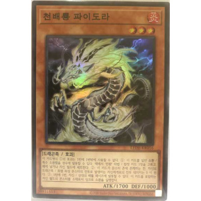 Tenpai Dragon Paidra - LEDE-KR016