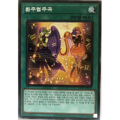 Melodious Concerto - LEDE-KR056