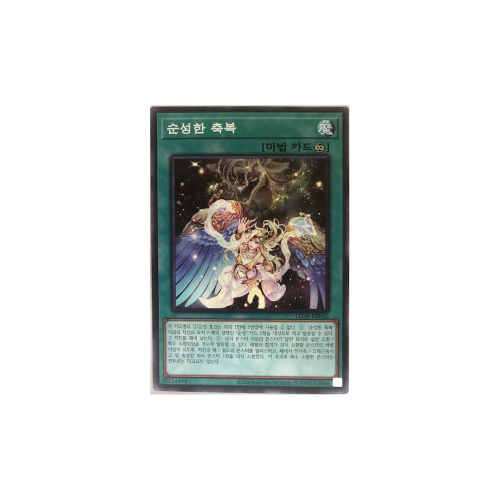 Blessing of the Voiceless Voice - LEDE-KR062