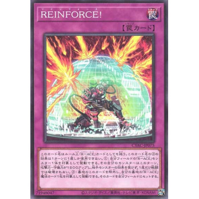 REINFORCE - CYAC-JP075