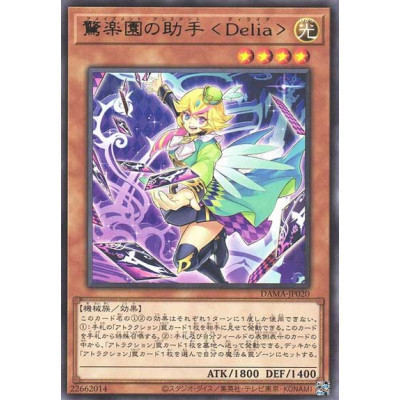 Amazement Assistant Delia - DAMA-JP020 - Nova