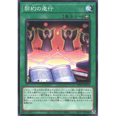 Execution of the Contract - WPP1-JP070