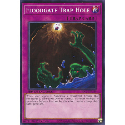 Floodgate Trap Hole - SBC2-ENC19