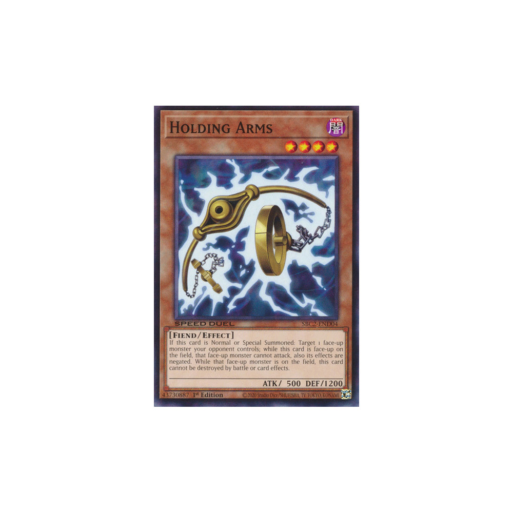 Holding Arms - SBC2-END04