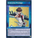 Executive Privilege - SBC2-ENS02
