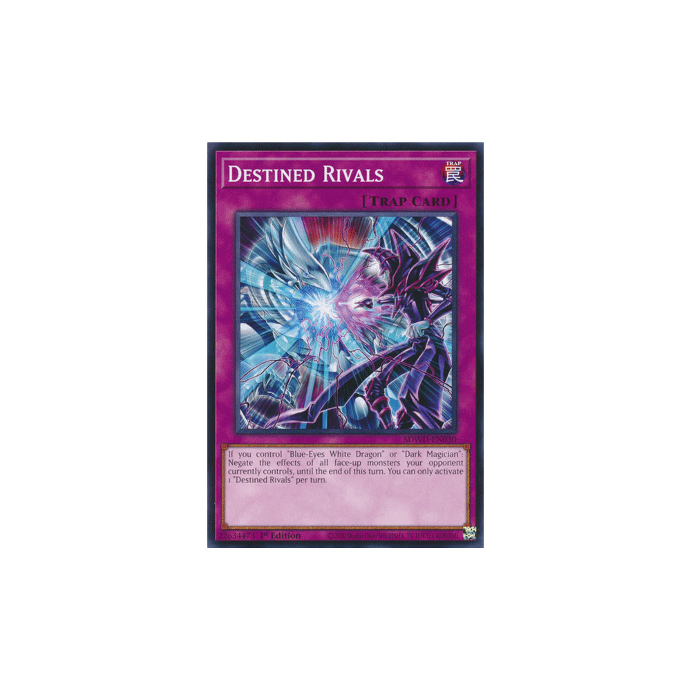 Destined Rivals - SDWD-EN030