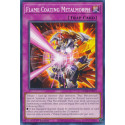 Flame Coating Metalmorph - SUDA-EN075