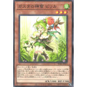 Pilica, Descendant of Gusto - SUB1-JP023