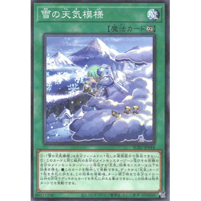 The Weather Snowy Canvas - SUB1-JP044 - Usada