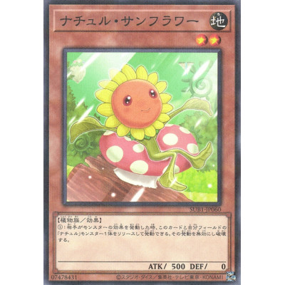Naturia Sunflower - SUB1-JP060