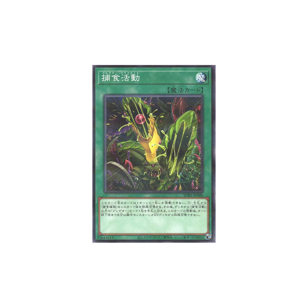 Predapractice - SUB1-JP040