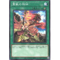 Ritual Beast's Bond - TW01-JP141