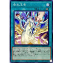 Golden Rule - 23PP-JP004 - Common