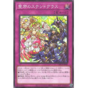 Stained Glass of Light Dark - DBVS-JP045