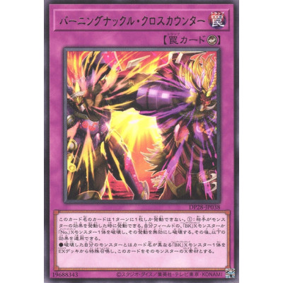 Battlin' Boxing Cross Counter - DP28-JP038